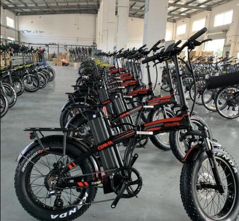 EUNORAU OEM E-bikes Service