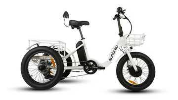 NEW-TRIKE 1.0