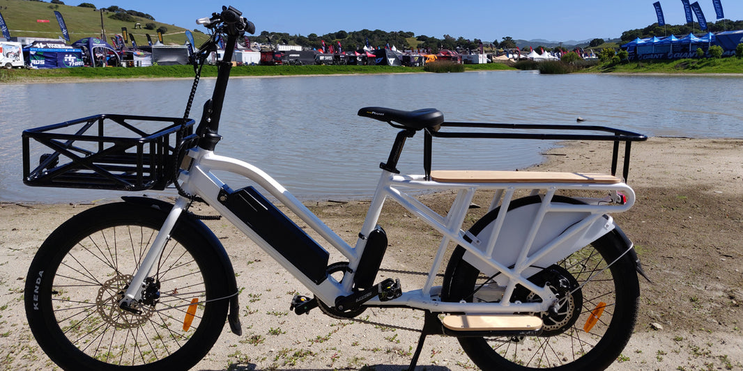 eunorau-max-cargo-24-48v250w-electric-long-tail-cargo-bike-for-family