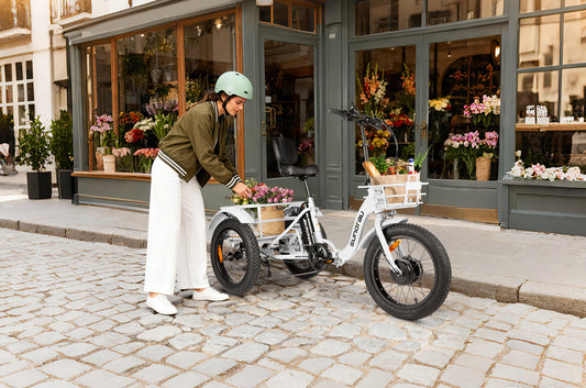 NEW-TRIKE 2.0